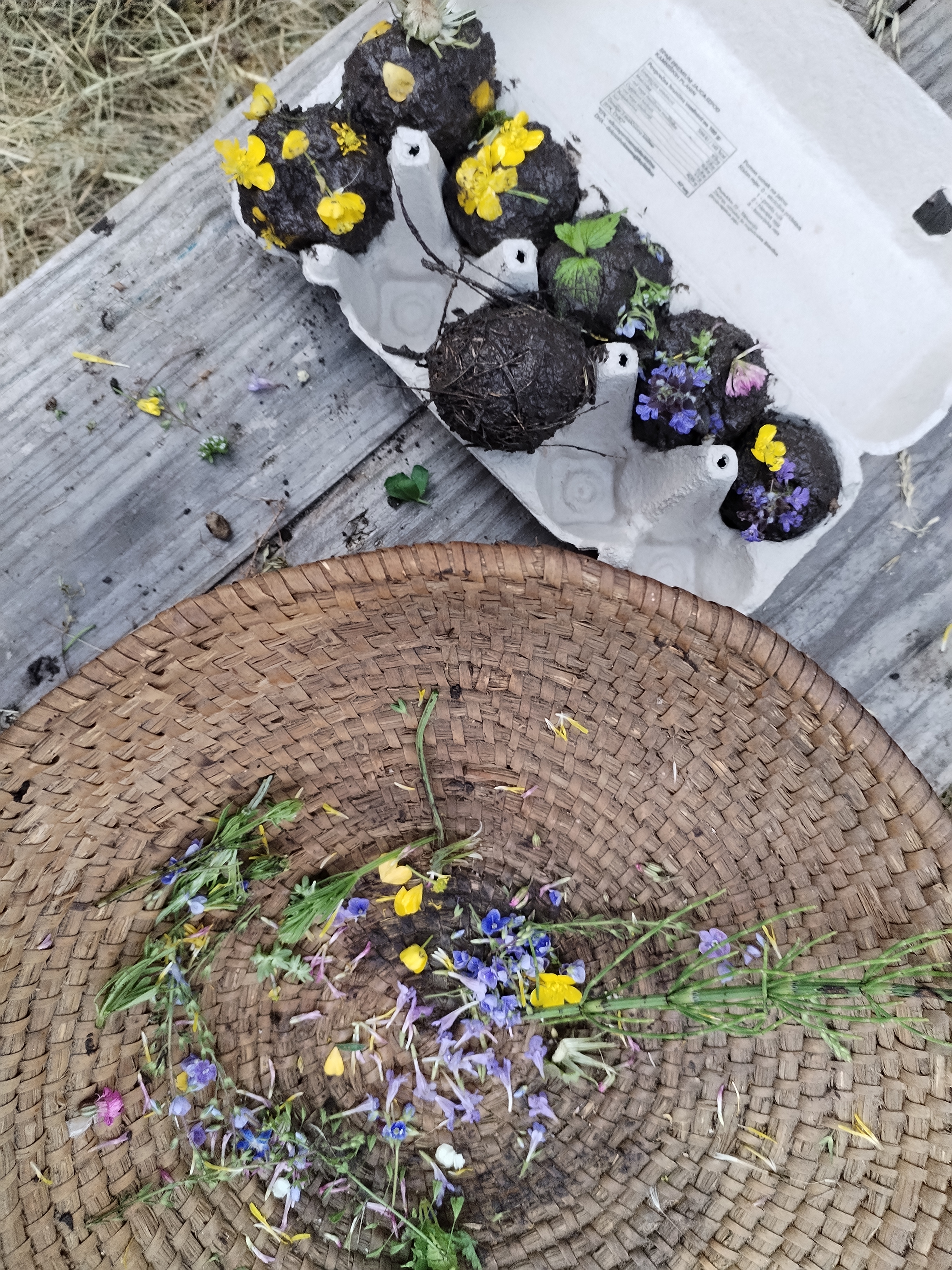 Cvetlične semenske bombice